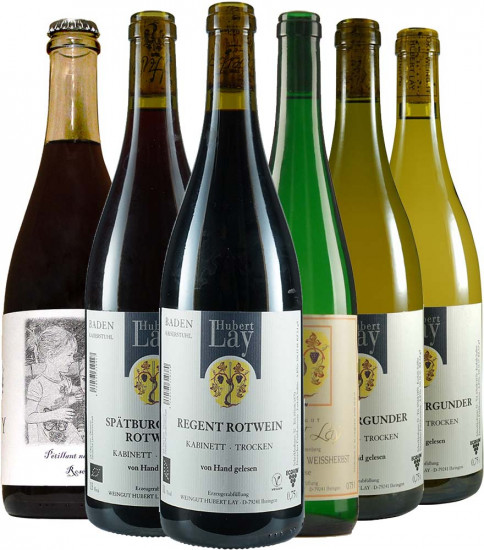 Lay Kennenlern-Paket BIO - Weingut Lay