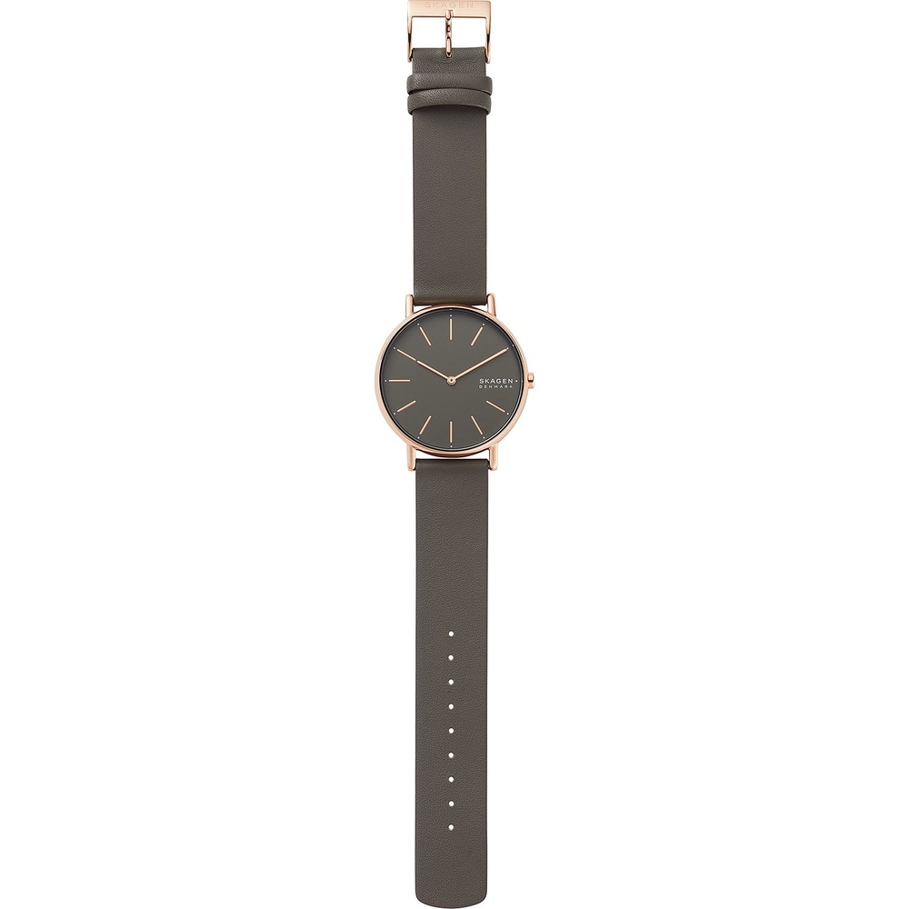 Skagen Montre pour femme Acier inoxydable Montre