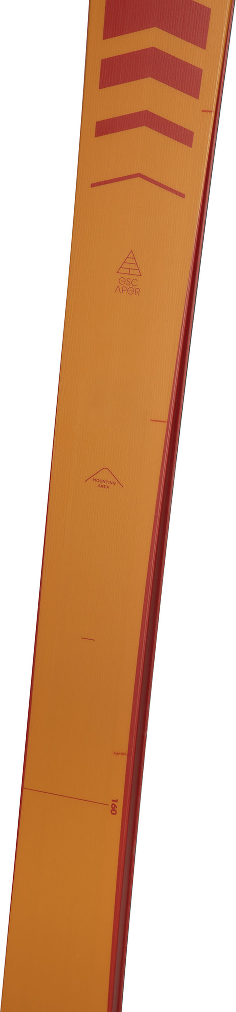 Unisex Nordic Skier XP 120 POSITRACK