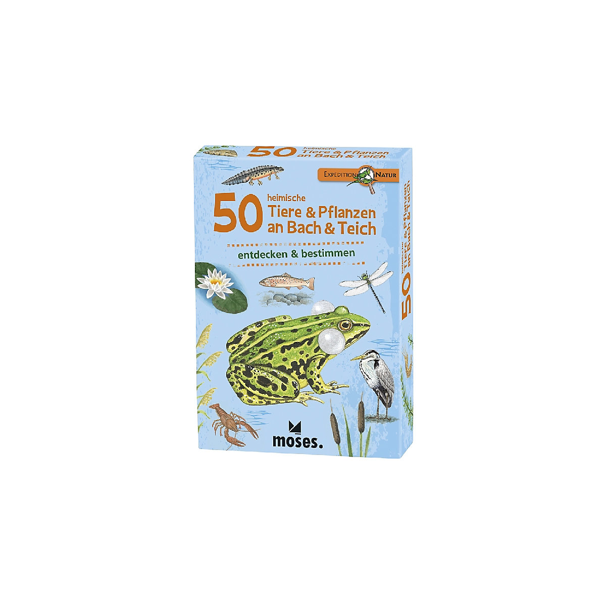 50 heimische Tiere & Pflanzen an Bach & Teich