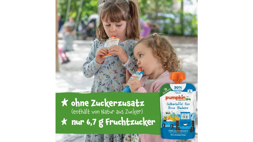 pumpkin organics Bio Quetschie Süßkartoffel, Reis, Birne und Blaubeere 100 g