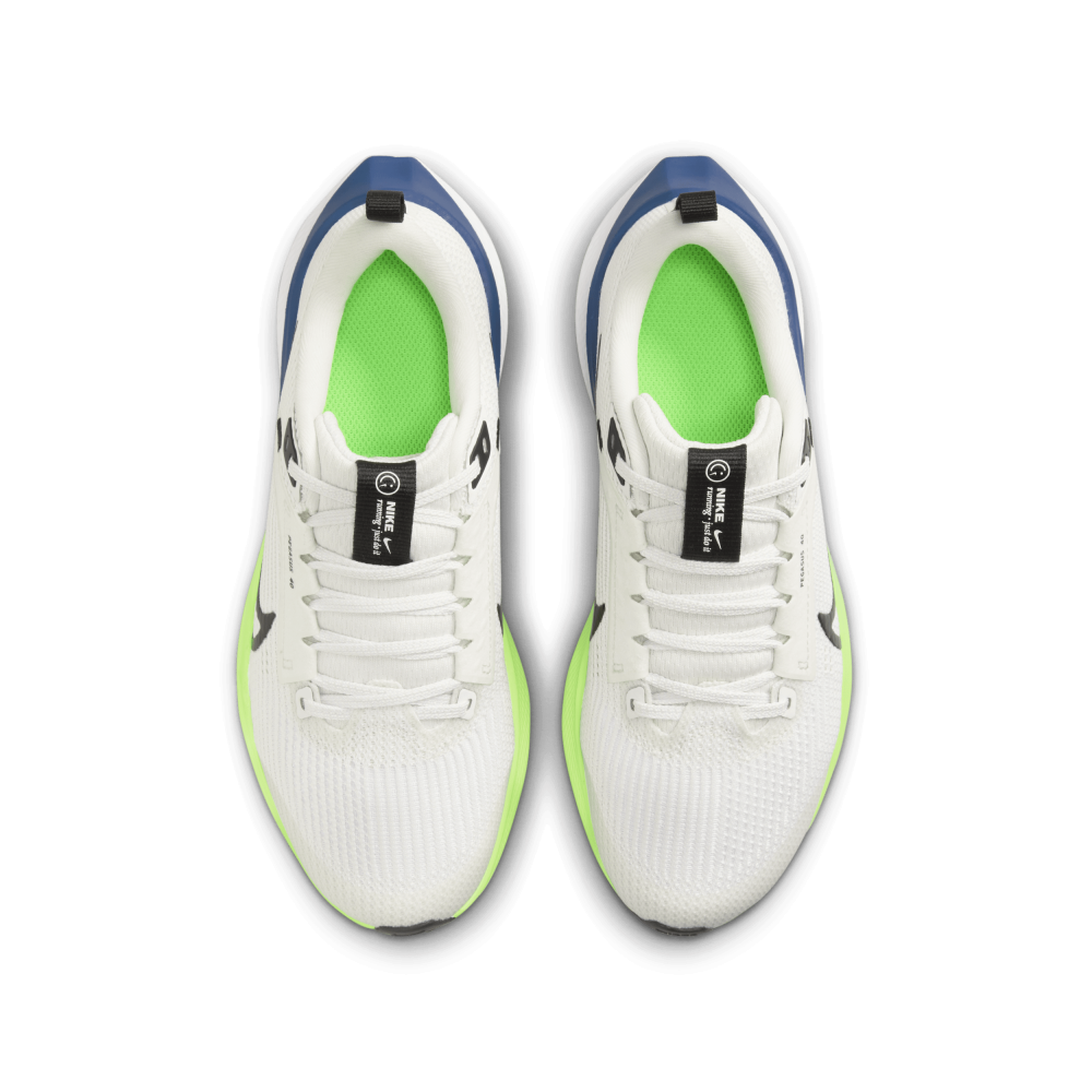 Nike Air Zoom Pegasus 40 DX2498-006 / grau