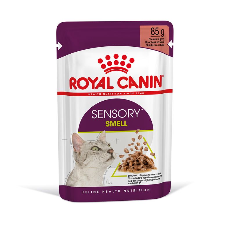 Royal Canin Sensory Smell in Soße zu TOP-Preisen