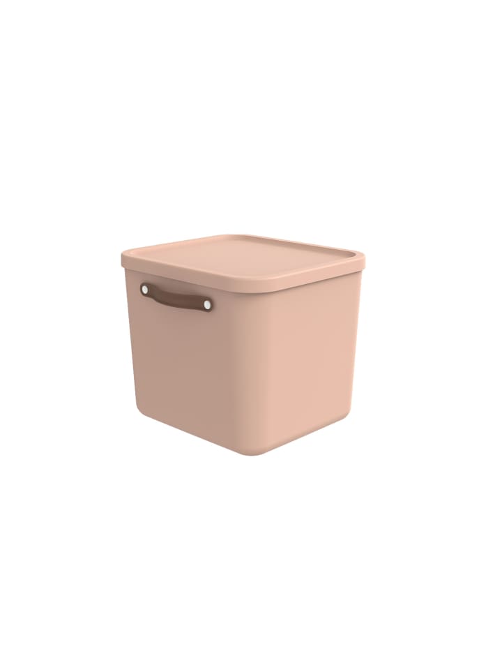 Rotho Aufbewahrungsbox mit Deckel 40 l MALOJA in Meadow rose günstig kaufen onesize