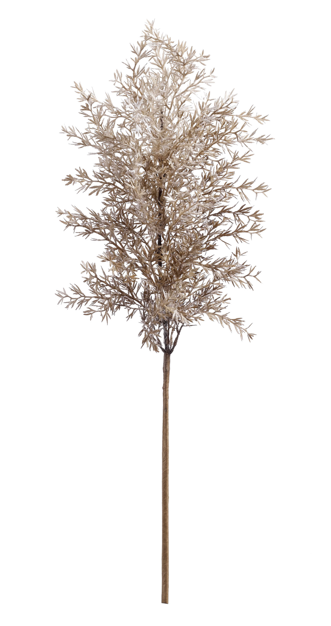 casa NOVAcasaNOVA Deko-Zweig 69cm