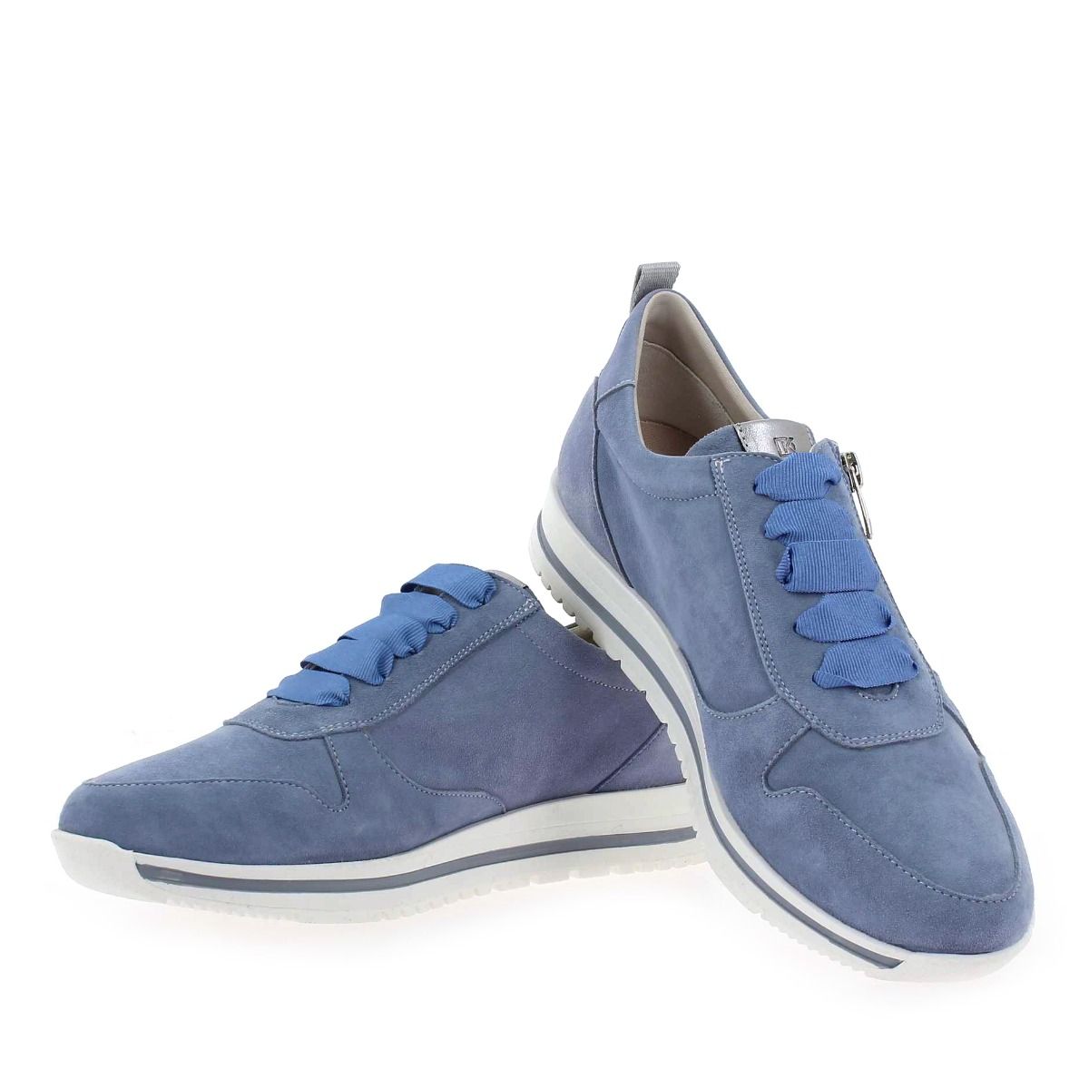 Dorking  D8763 - Bleu