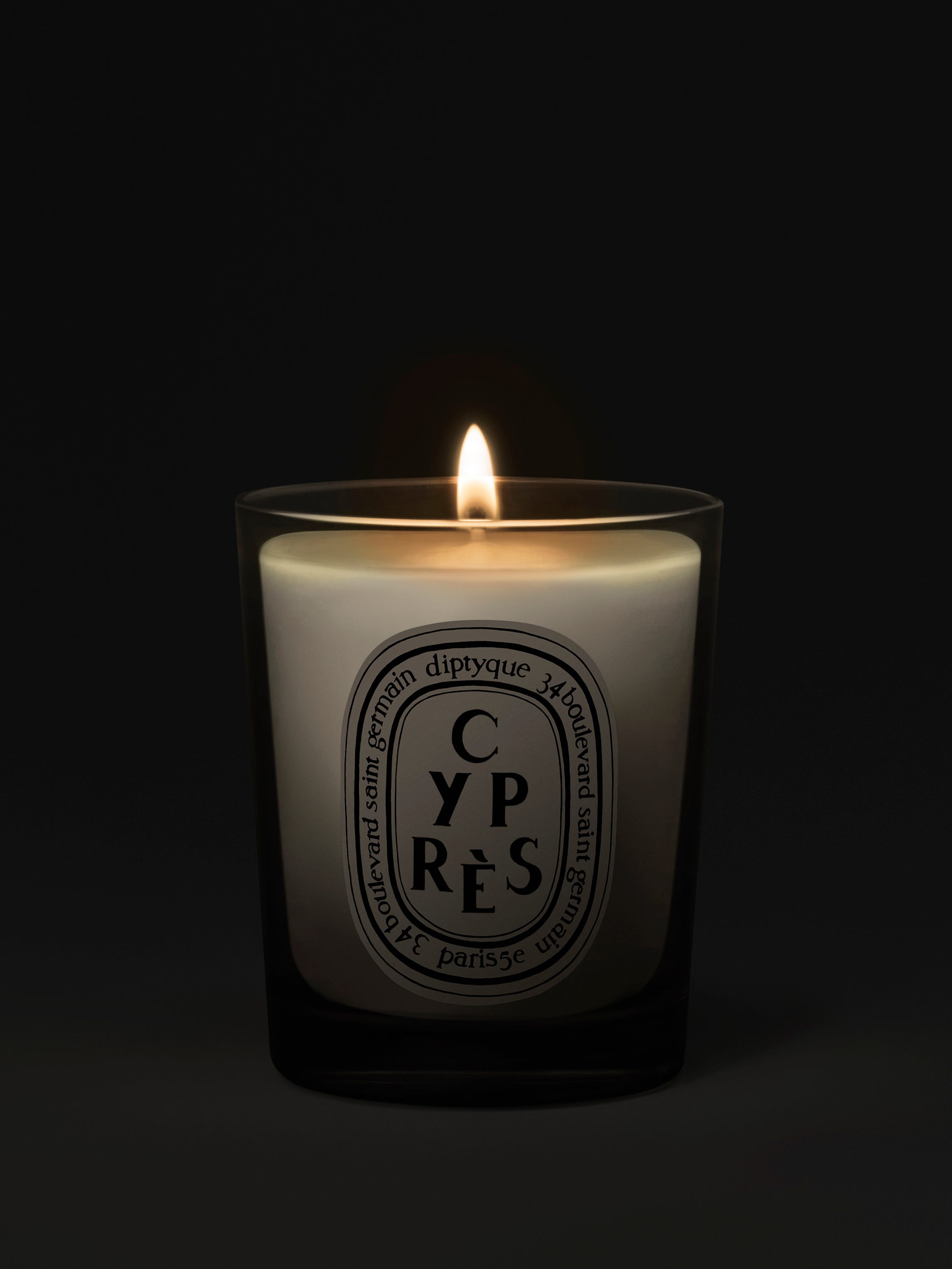 Cyprès - Bougie petit modèle
