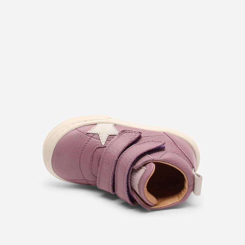 keo purple - Violett