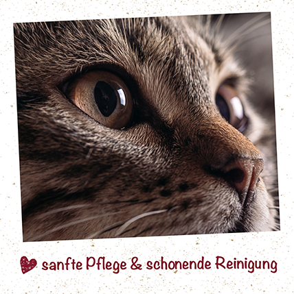 feliTATZ Augen- & Ohrenpflege feliTATZ Augenreiniger