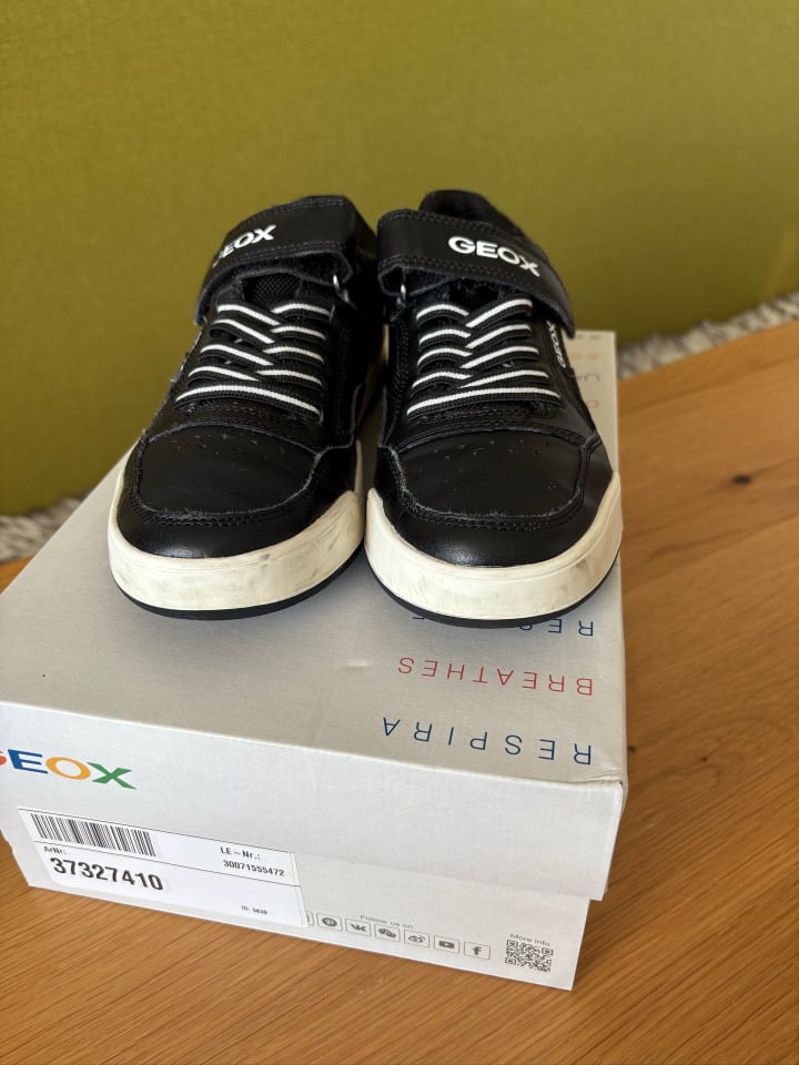 Geox Sneakers 