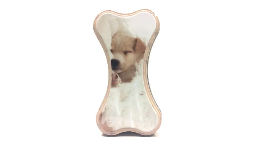 Blechbox Hundeknochen