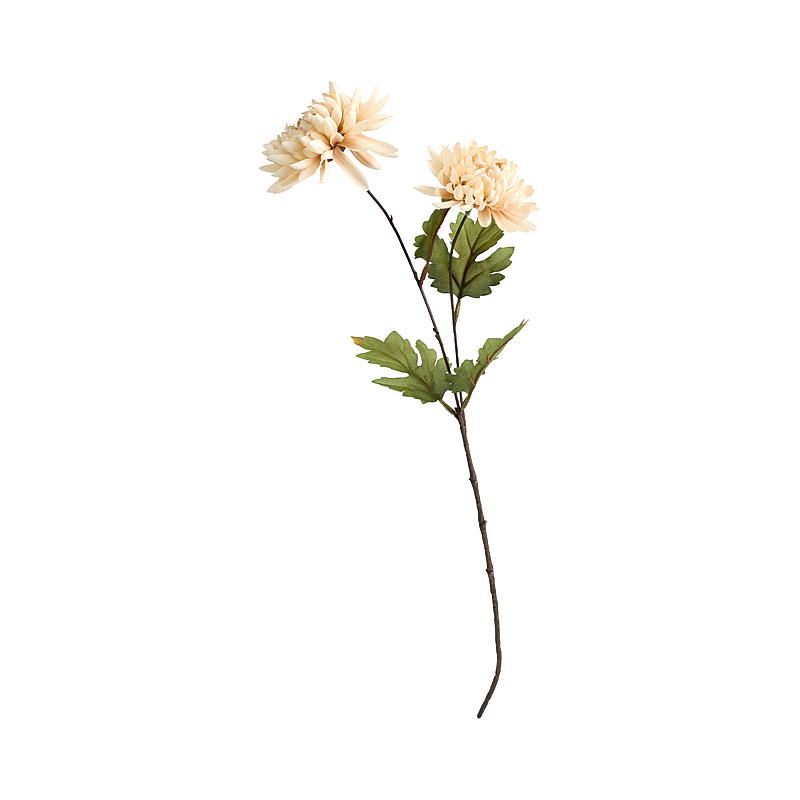 Home Krysantemum 56 cm duo