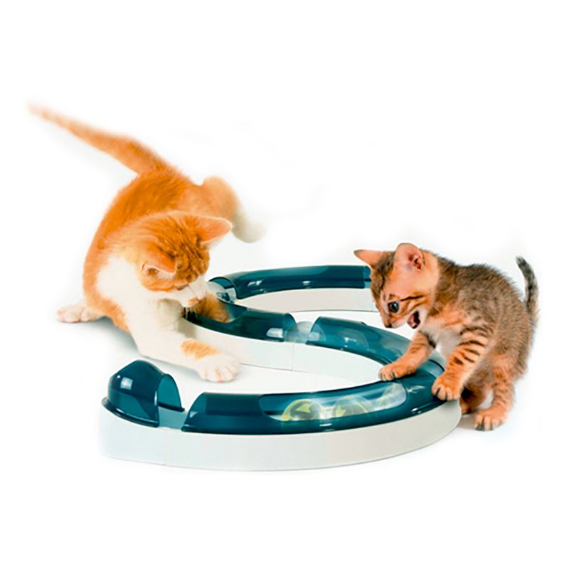 Catit Design Senses Spielschiene zu TOP-Preisen