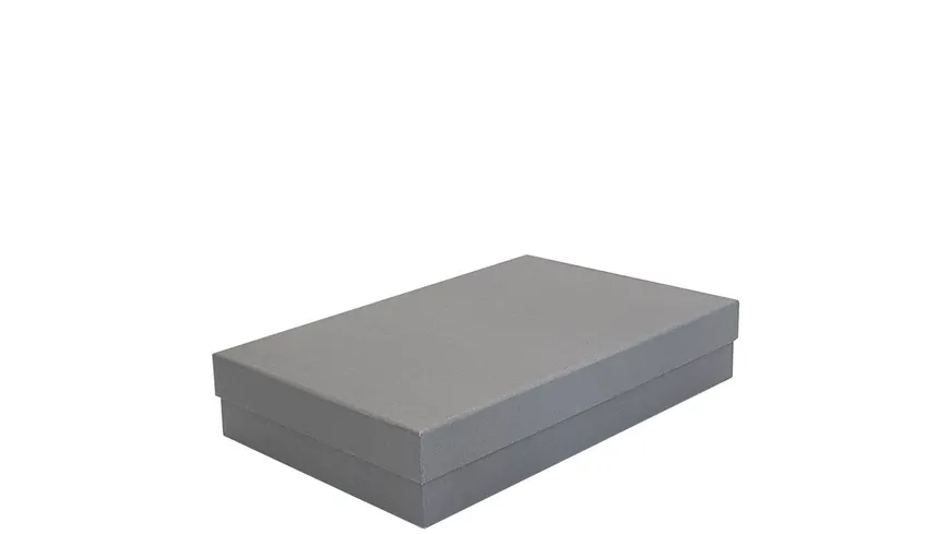 TRUBA Sammelbox maxi hellgrau 7503-071 hellgrau