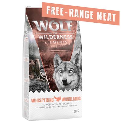 Wolf of Wilderness 
