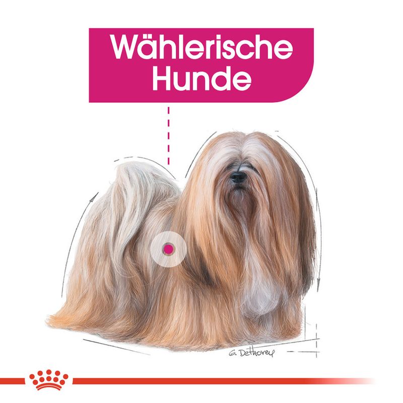 Royal Canin Exigent Mousse