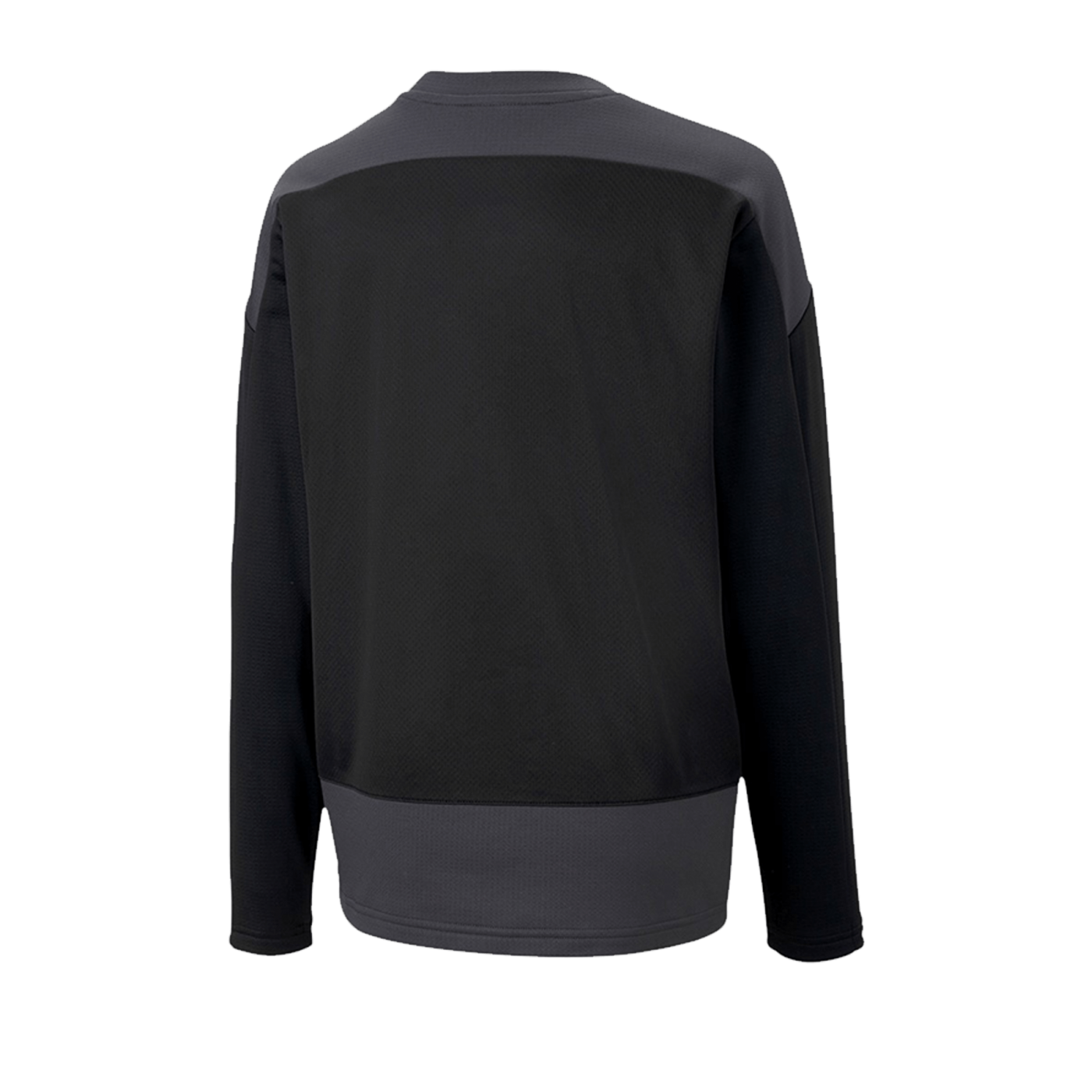 PUMA teamGOAL 23 Training Sweatshirt Kids F03