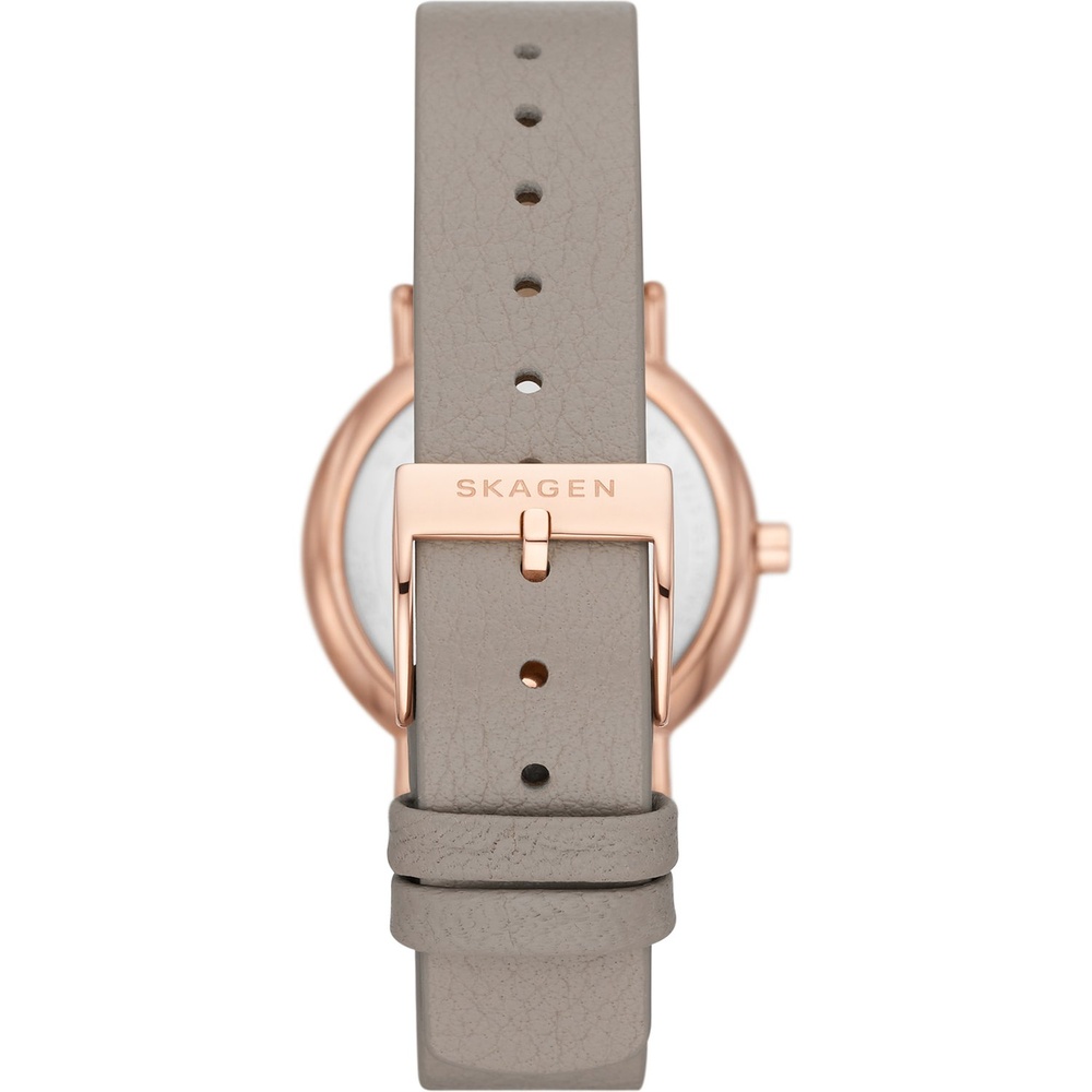 Skagen Montre pour femme Acier inoxydable Montre