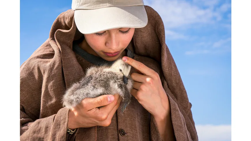 Der Junge und die Wildgänse