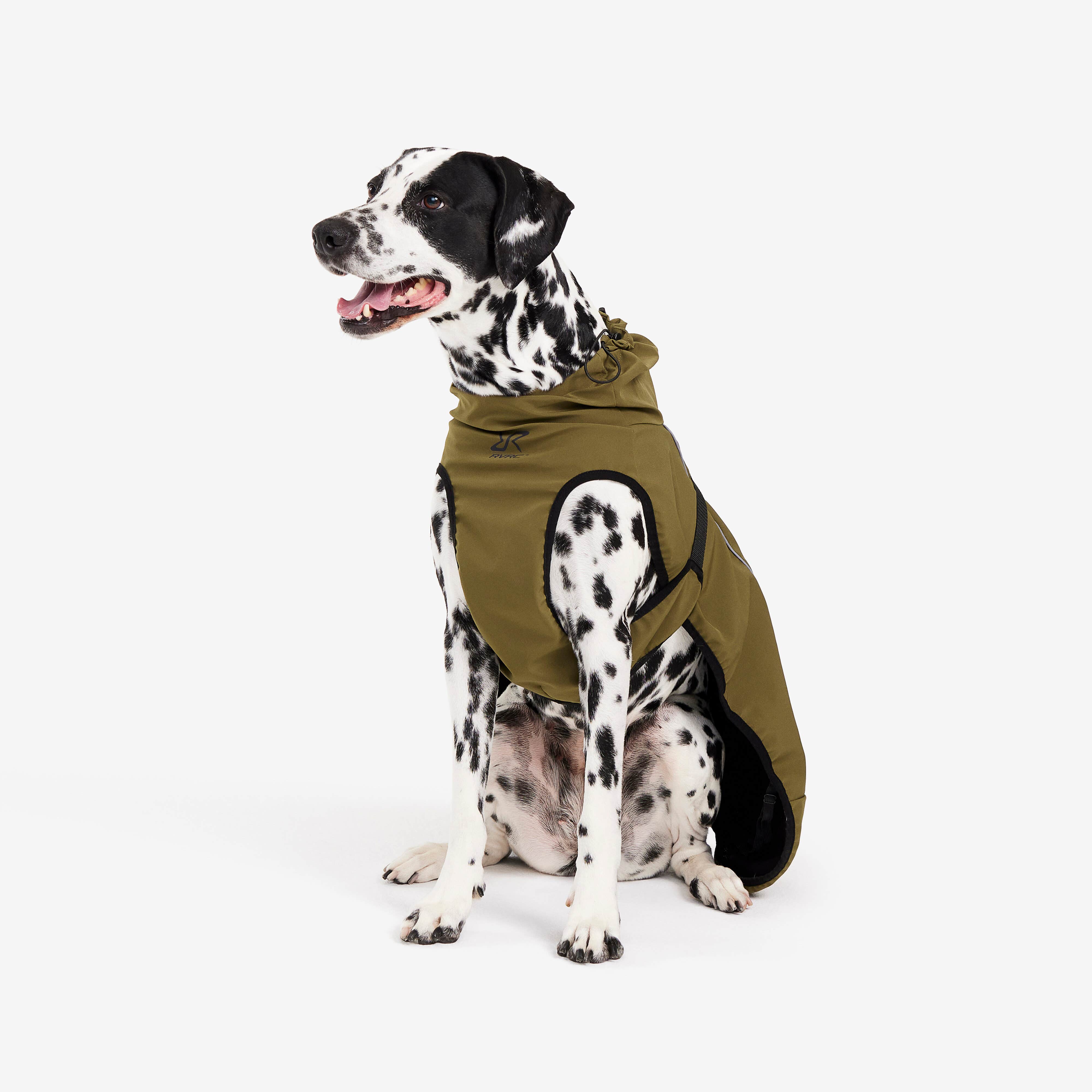 Cyclone Dog Jacket Chien Dark Olive