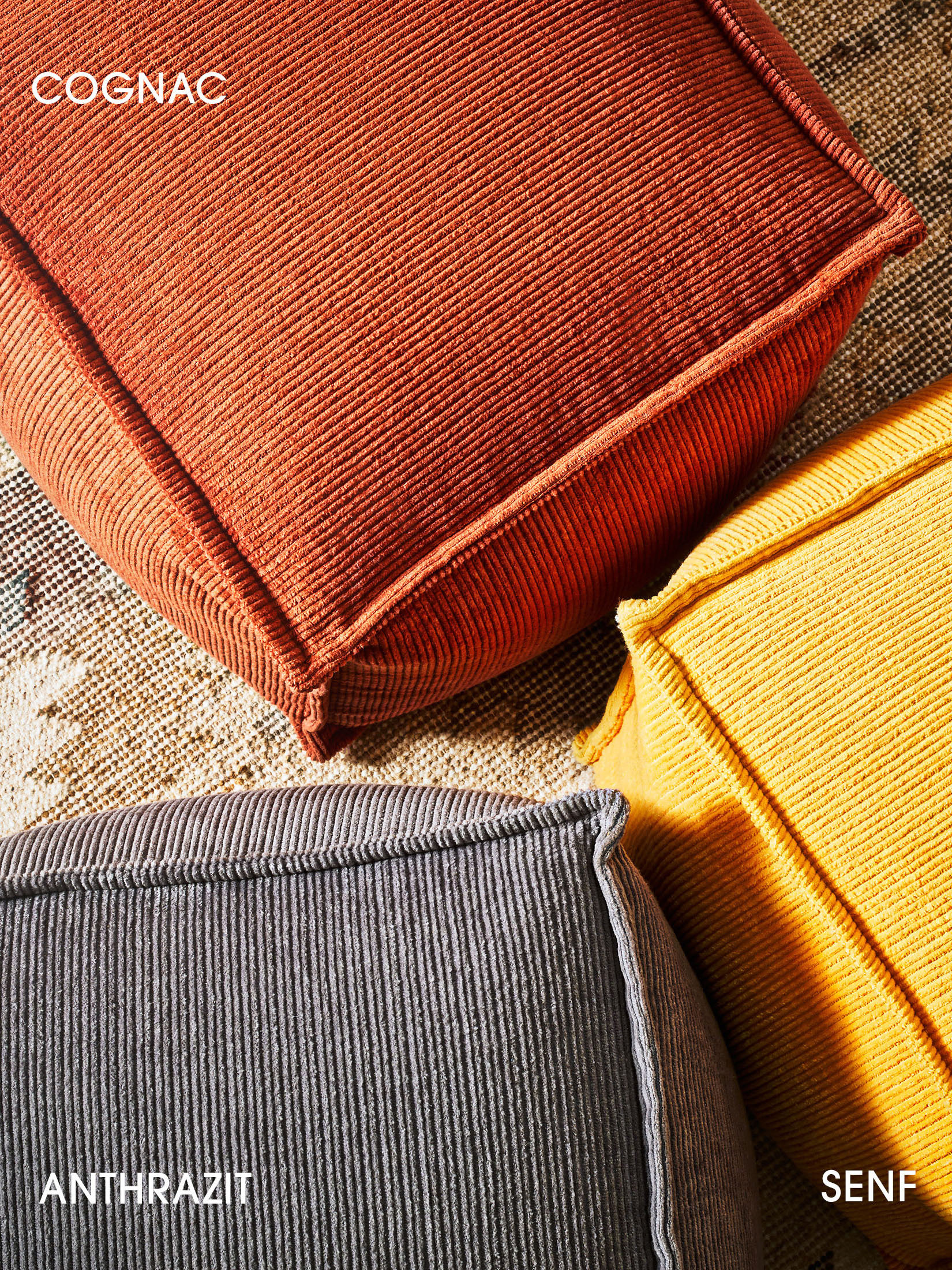 Samson Pouf, Cognac