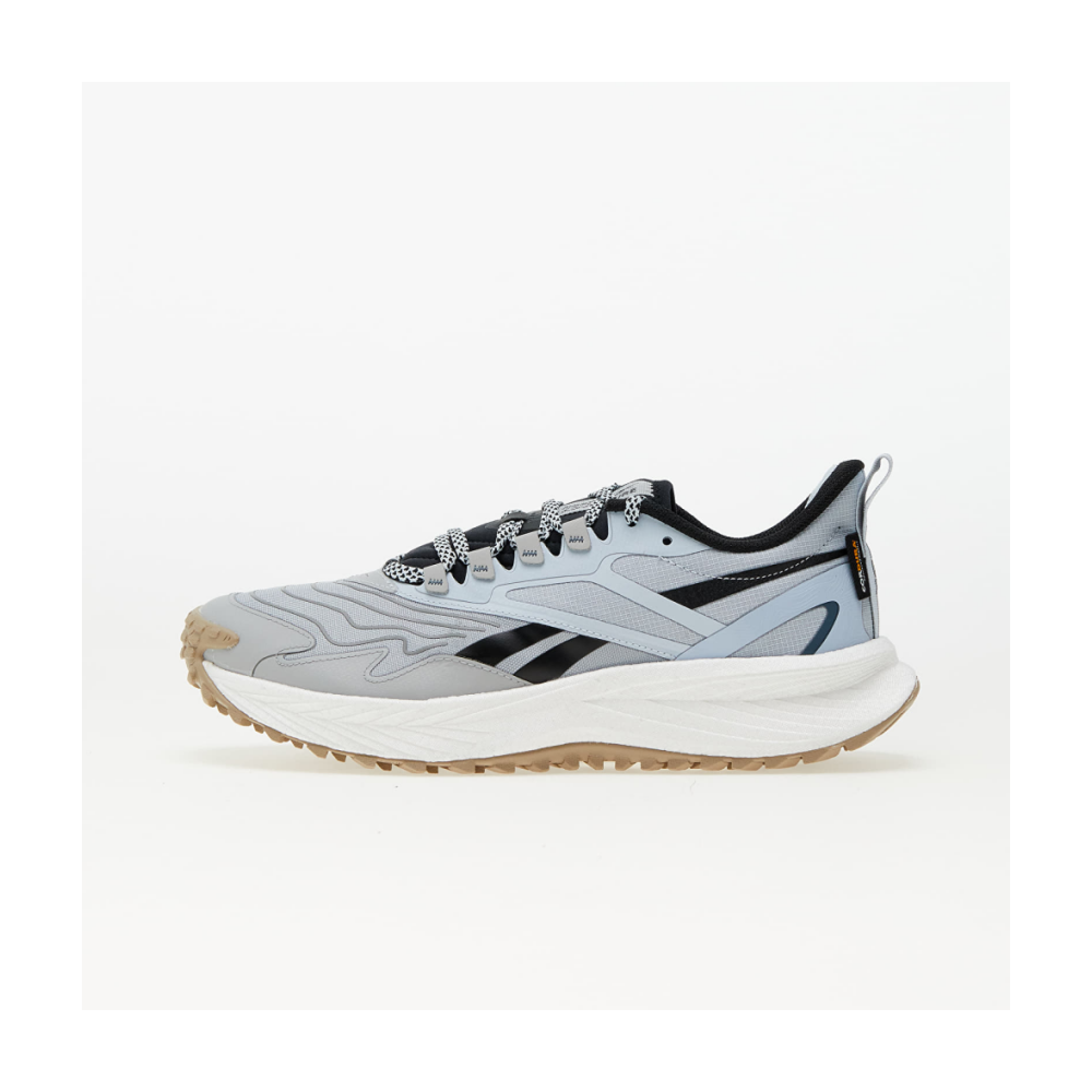 Reebok Floatride Energy 5 Adventure 100033641 / grau