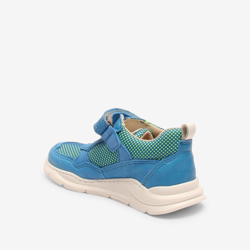 pax e cobalt - Blau