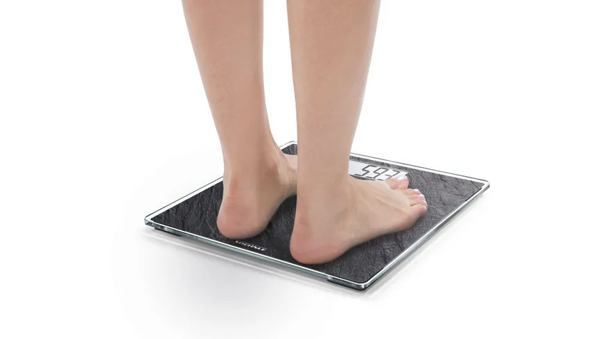 SOEHNLE Style Sense Compact 300 Slate