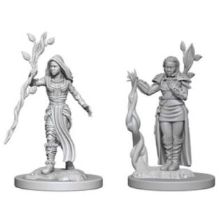 Human Female Druid: D&D Nolzurs Marvelous Unpainted Minis