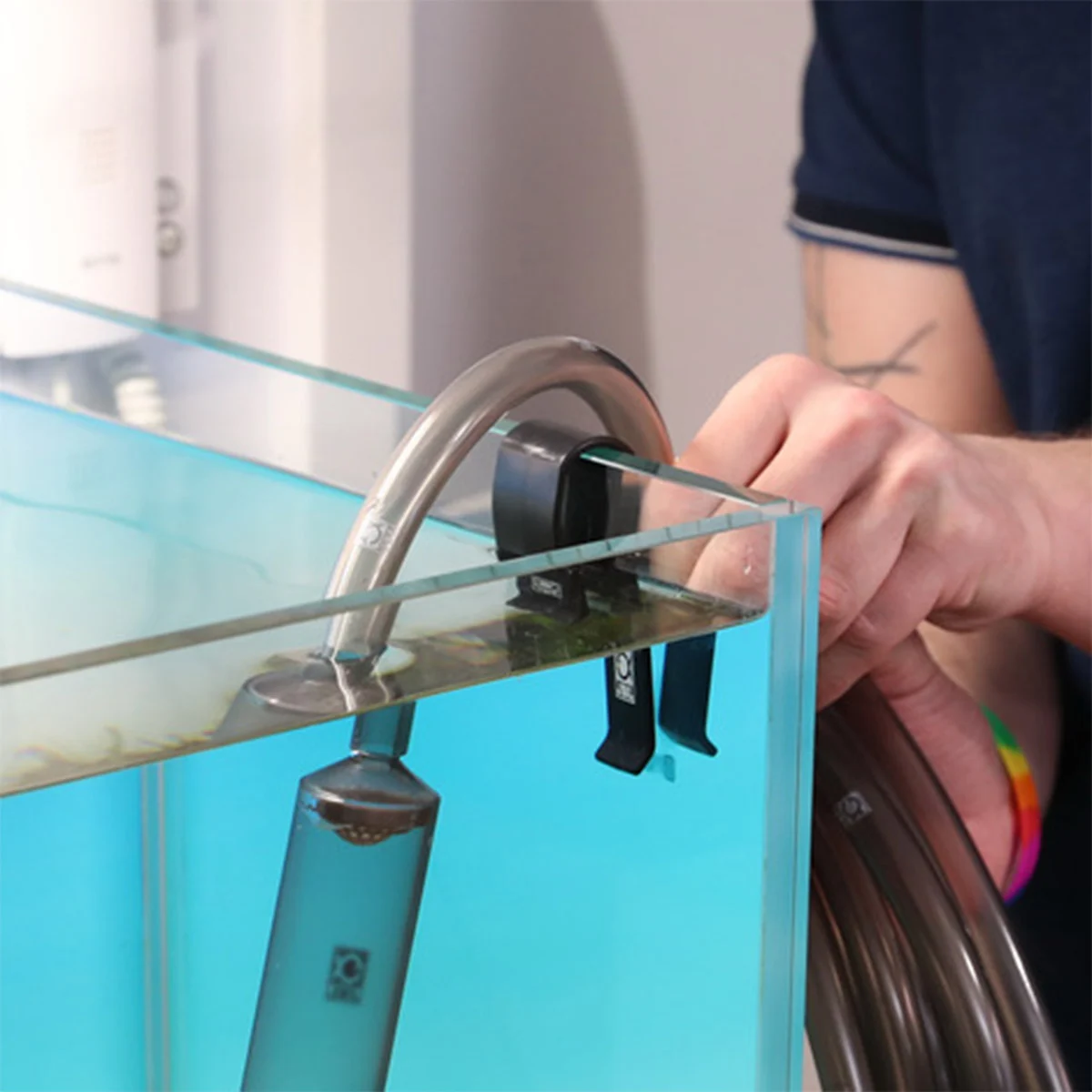 JBL PROCLEAN AQUA IN-OUT COMPLETE günstig kaufen