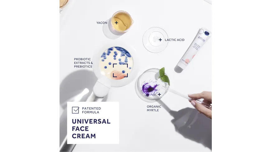 gallinée Universal Face Cream 40 ml