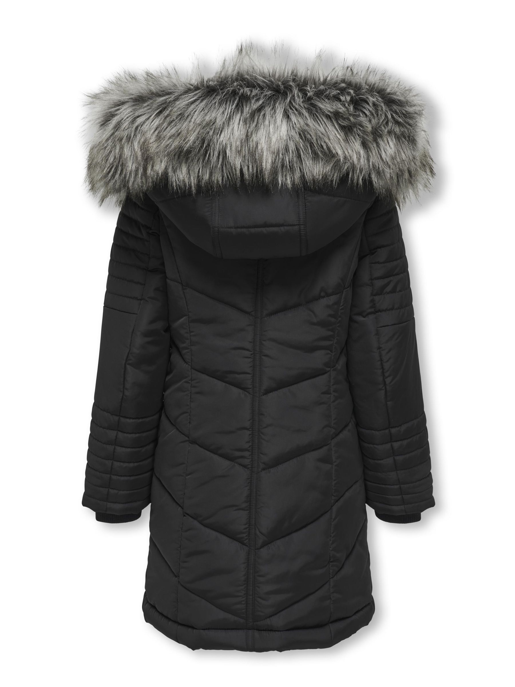 Winter Jacket