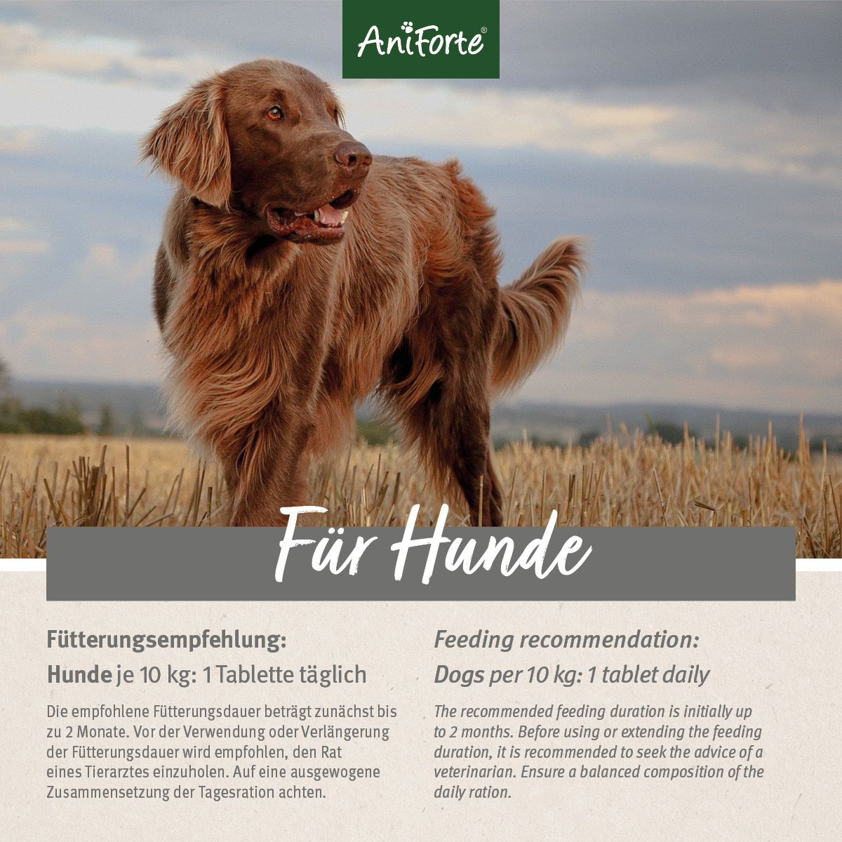 Aniforte Ergänzungsfutter & Aufzucht Aniforte Plus Fell & Haut 90 Tabletten