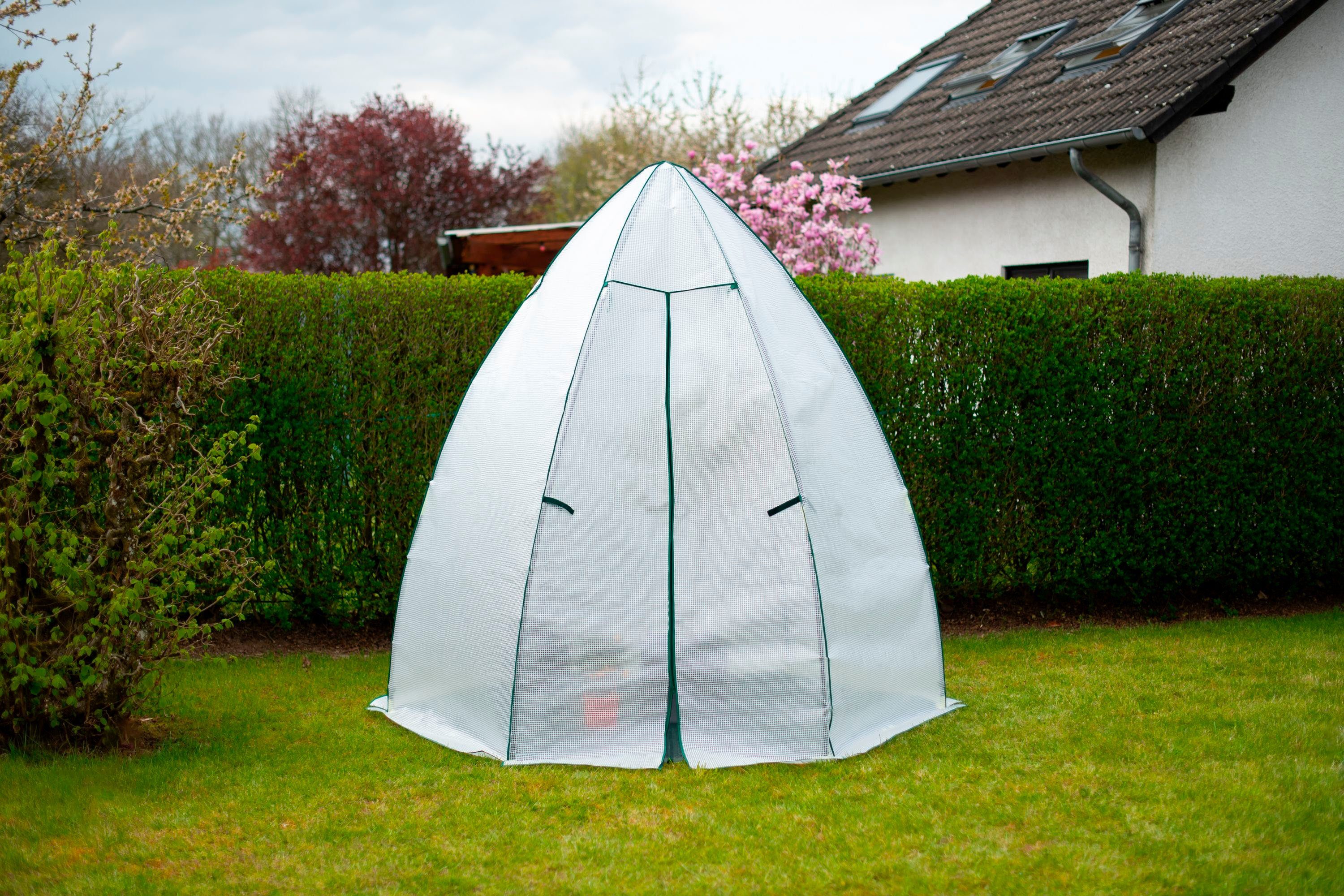 50NRTH Foliengewächshaus Avocado, BxTxH: 250 x 250 x 250 cm, Überwinterungszelt