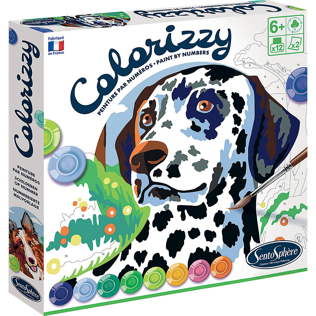 Colorizzy Hunde