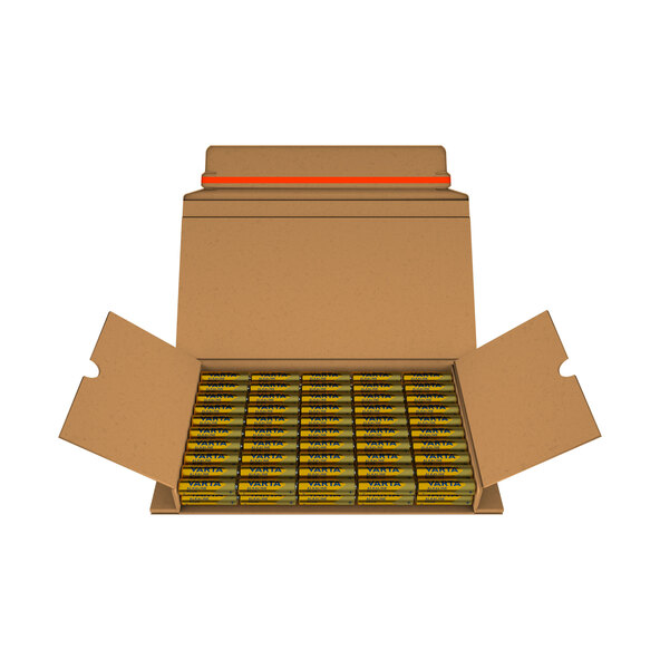 Alkaline Plus AA Batterien, 100er Pack