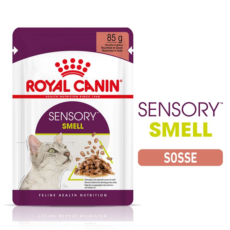 Royal Canin Sensory Smell in Soße zu TOP-Preisen