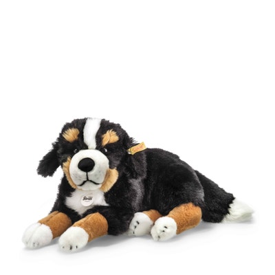 Senni Berner Sennenhund, 45 cm, schwarz