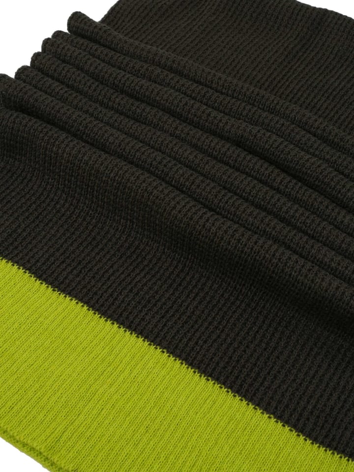 SCHIETWETTER Strick-Schal Alex in oliv-lime günstig kaufen onesize