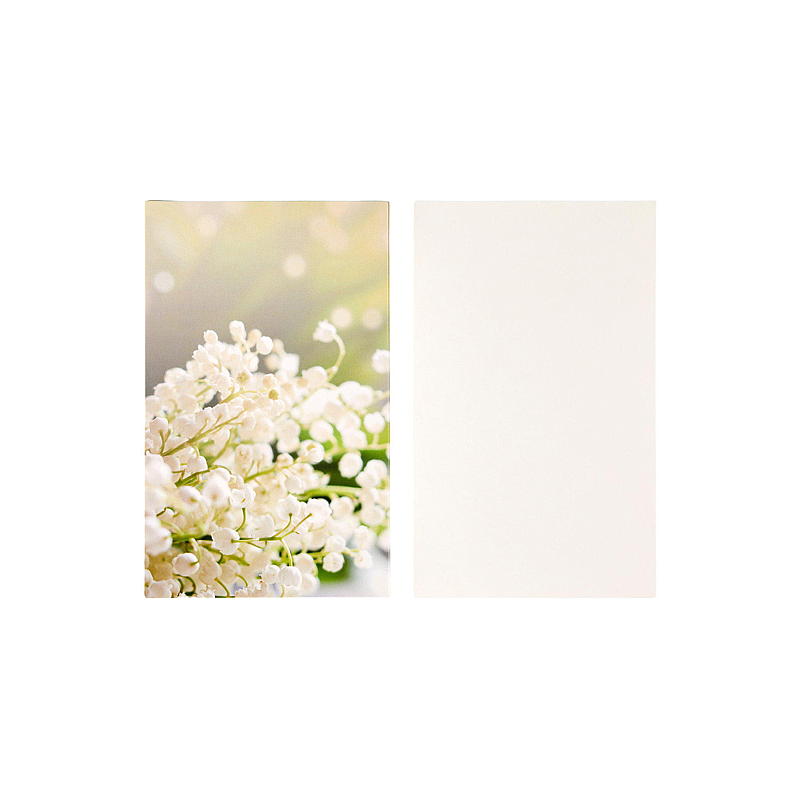 Kort 10-pk enkelt m/konvolutt hvit blomst