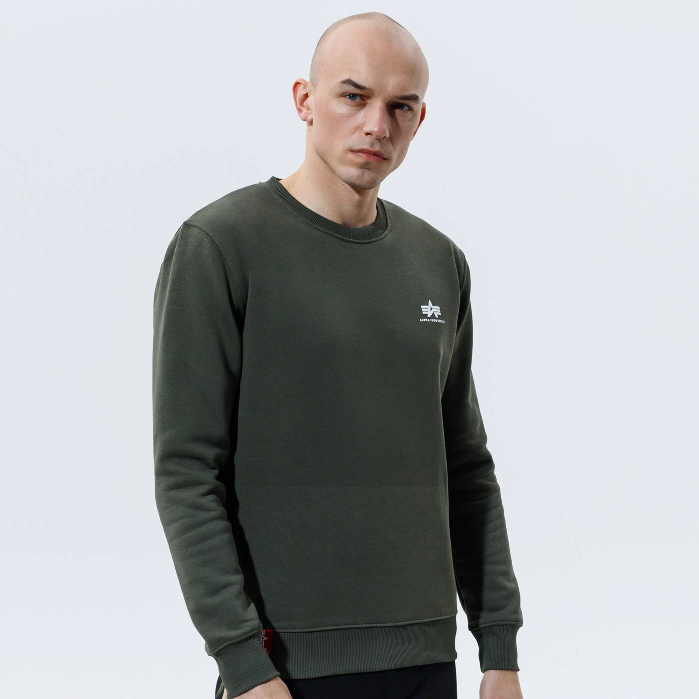 ALPHA INDUSTRIES SWEATSHIRT   BASIC SWEATER SMALL LOGO Khaki