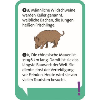Pocket Quiz junior: Allgemeinwissen (DE)