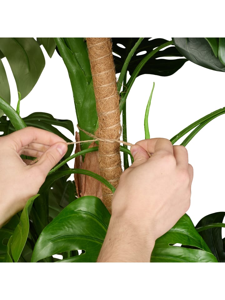 relaxdays 5 x Kokosstäbe in Natur - 60 cm günstig kaufen onesize