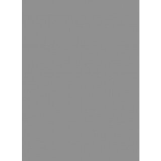 Legion: Double Matte Sleeve - Silver