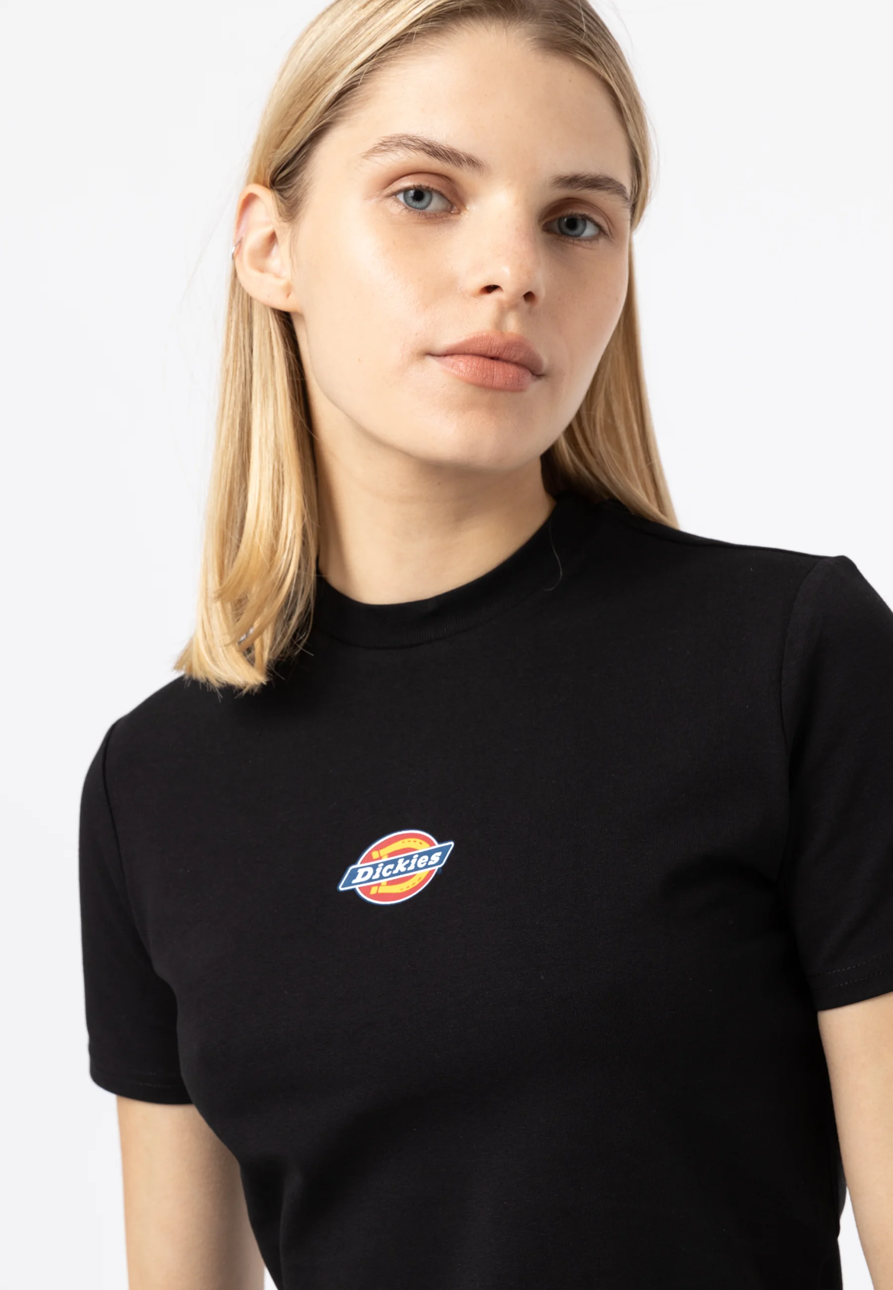 Dickies MAPLE VALLEY TEE - Camiseta con estampado