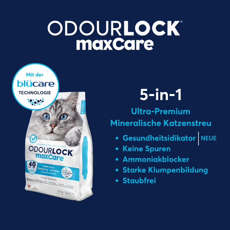Intersand Katzenstreu Intersand ODOUR LOCK MaxCare Unscented 12kg