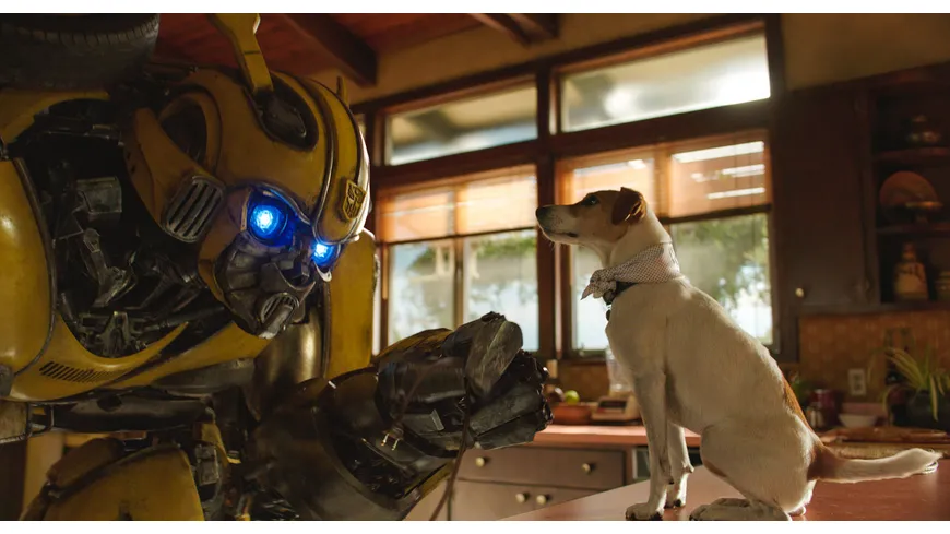 Bumblebee
