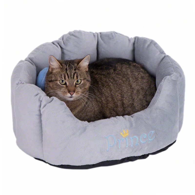Kuschelbett Prince zu TOP-Preisen