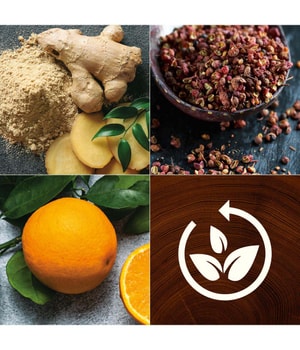 WoodWick ReNew Ginger & Tumeric Duftkerze-184 g