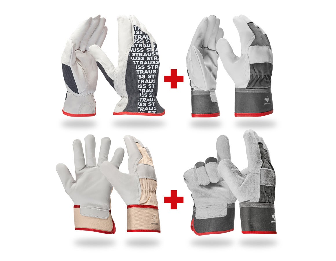 Handschuh- Profi Set Leder